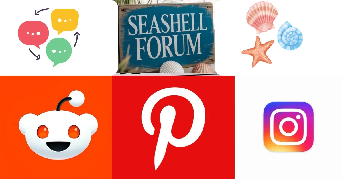 Seashell Forum, Featured Image
