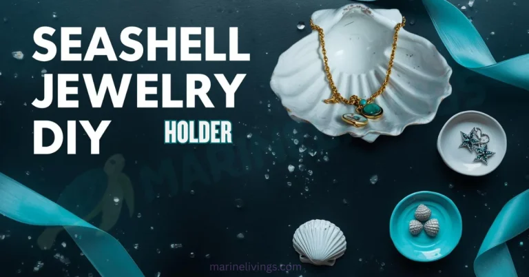 Seashell Jewelry Holder DIY