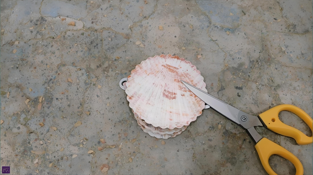 Stacked Seashell Jewelry Holder