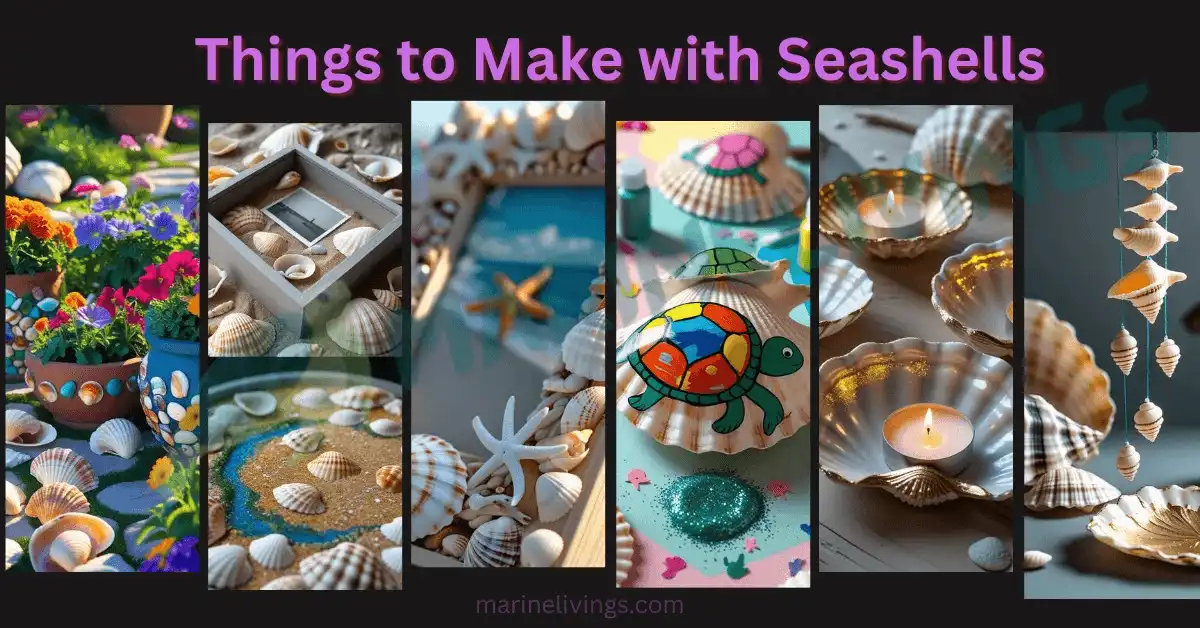 Things to make with seashells