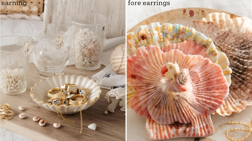 handmade sea shell jewelry holder for earrings